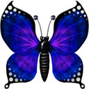modrý motýl